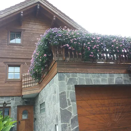 Апартаменты Mona *